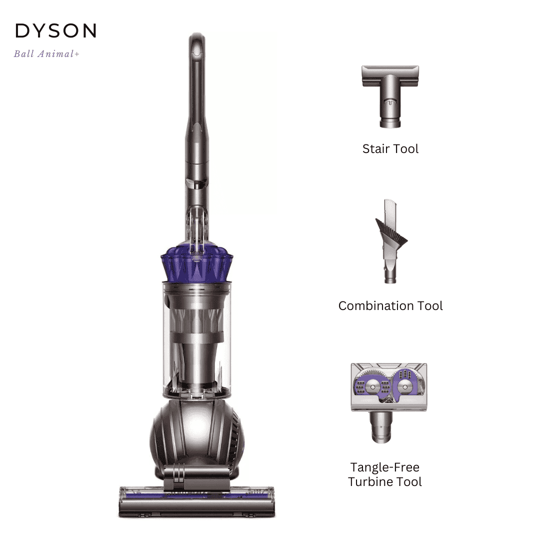 Dyson Ball Animal+ Upright Vacuum 