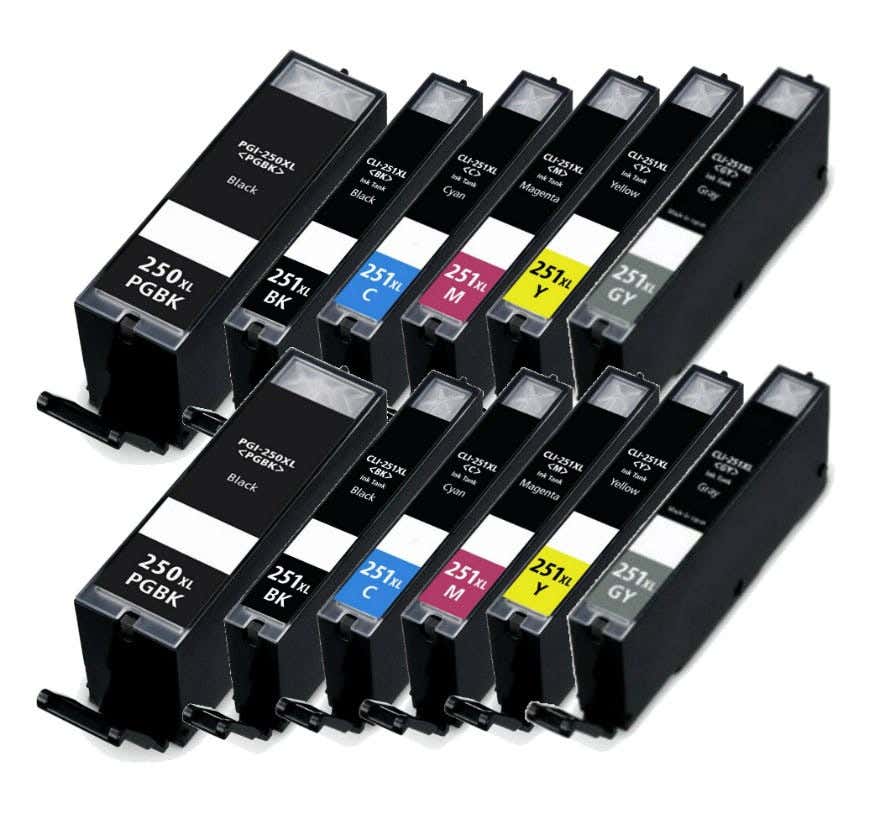 Canon PGI-250XL & CLI-251XL Compatible 12-Piece Carrot Bunch, (2) PGI-250XL compatible pigment black, (2) each of CLI-251XL cyan, magenta, yellow, black, and gray