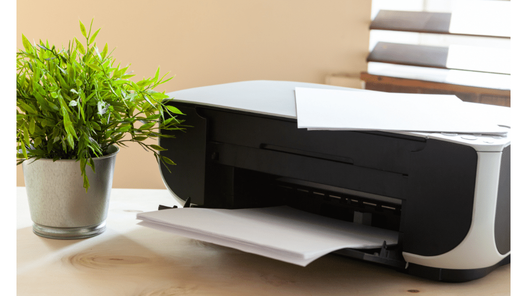 white printer beside a house plant