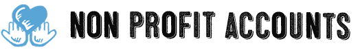 Non-profit Accounts