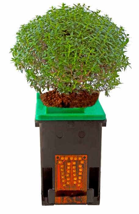 plants growing on top of an ink cartridge